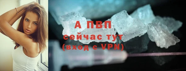 СК Беломорск