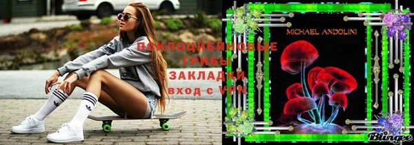 дмт Белокуриха