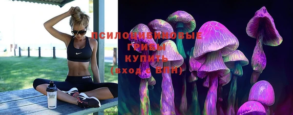 дмт Белокуриха