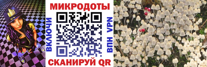 Псилоцибиновые грибы мухоморы  купить наркотики сайты  Болгар 